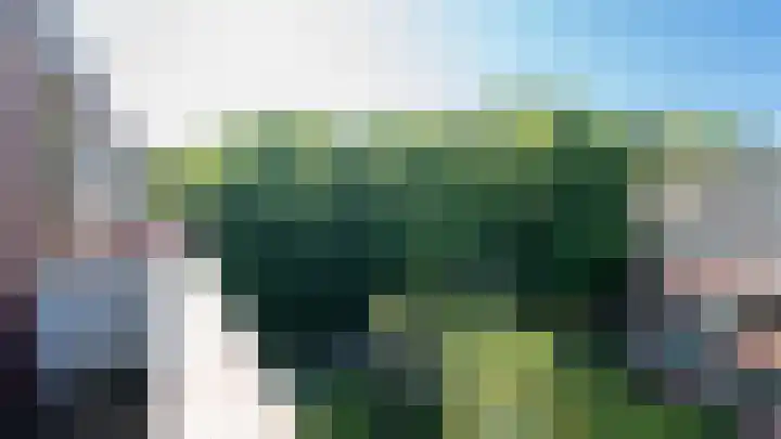 Nieuweroord 58 Leiden thumbnail 29