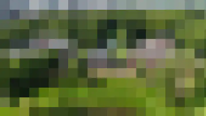 Nieuweroord 58 Leiden thumbnail 43