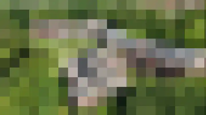 Nieuweroord 58 Leiden thumbnail 44