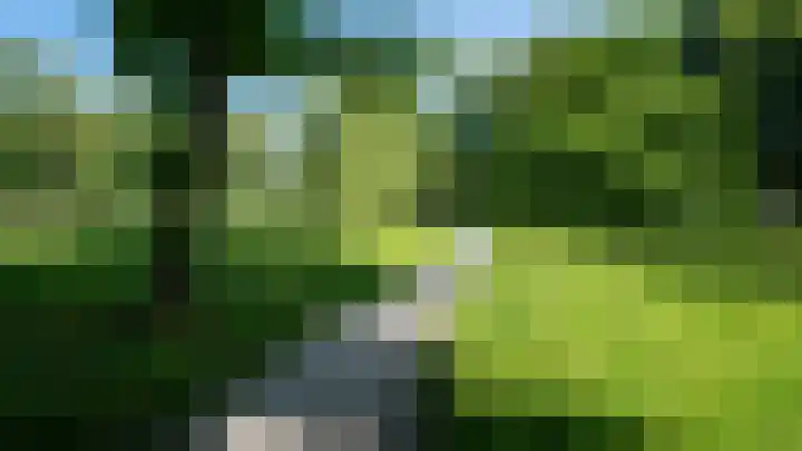 Nieuweroord 58 Leiden thumbnail 47