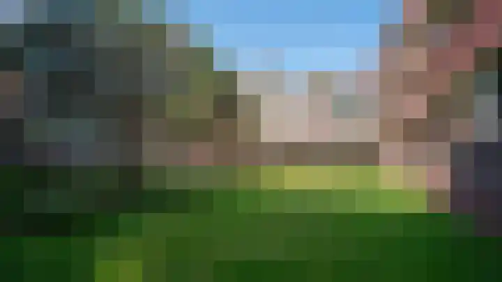 Nieuweroord 58 Leiden thumbnail 50
