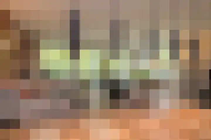 Nieuweroord 66 Leiden thumbnail 16