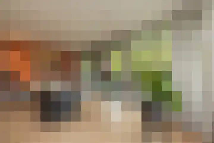 Nieuweroord 66 Leiden thumbnail 18