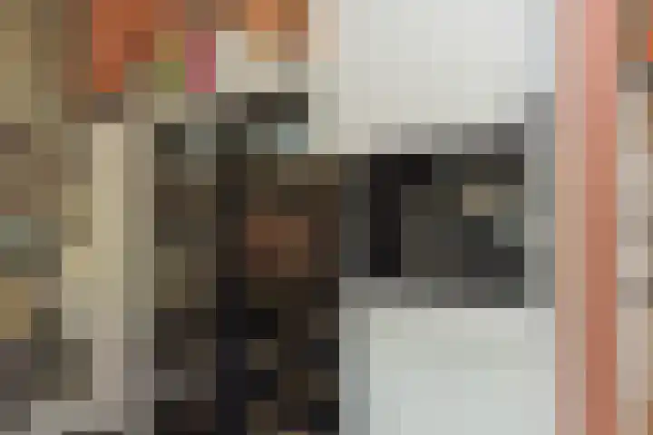 Nieuweroord 66 Leiden thumbnail 23