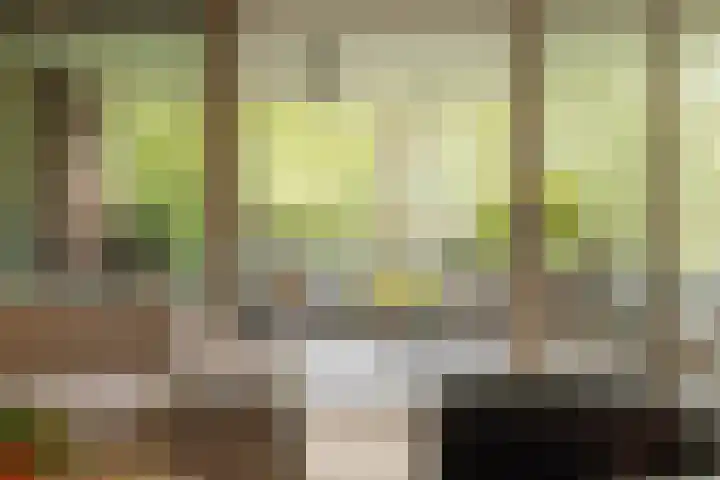 Nieuweroord 66 Leiden thumbnail 32