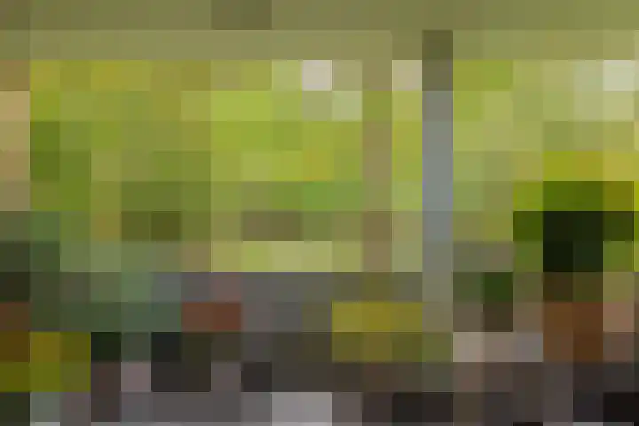 Nieuweroord 66 Leiden thumbnail 33