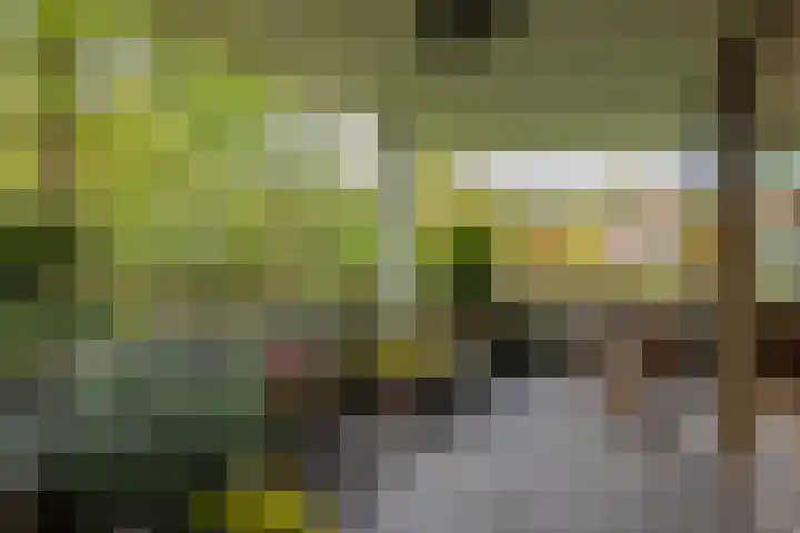 Nieuweroord 66 Leiden thumbnail 34