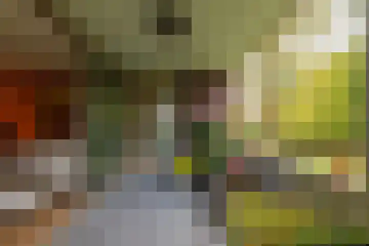 Nieuweroord 66 Leiden thumbnail 35