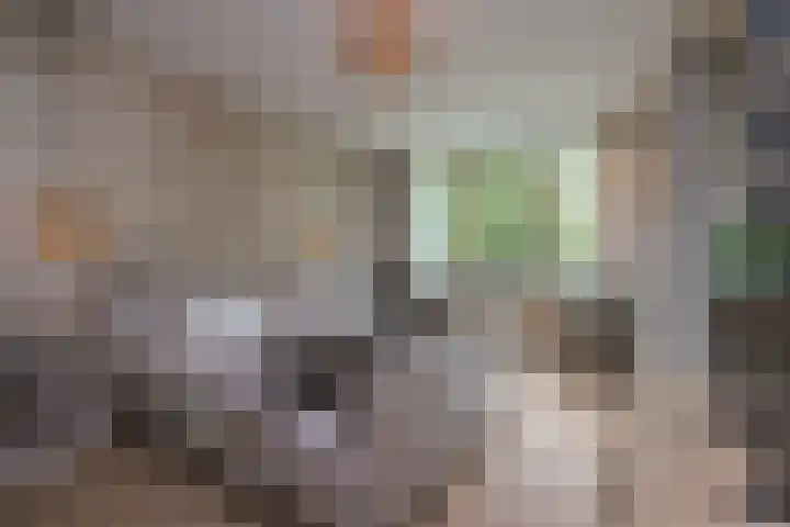 Nieuweroord 66 Leiden thumbnail 37