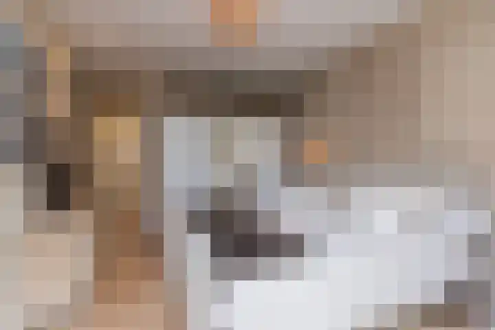 Nieuweroord 66 Leiden thumbnail 39