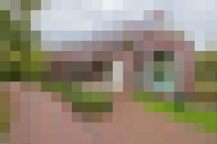 Nieuweroord 66 Leiden thumbnail 4