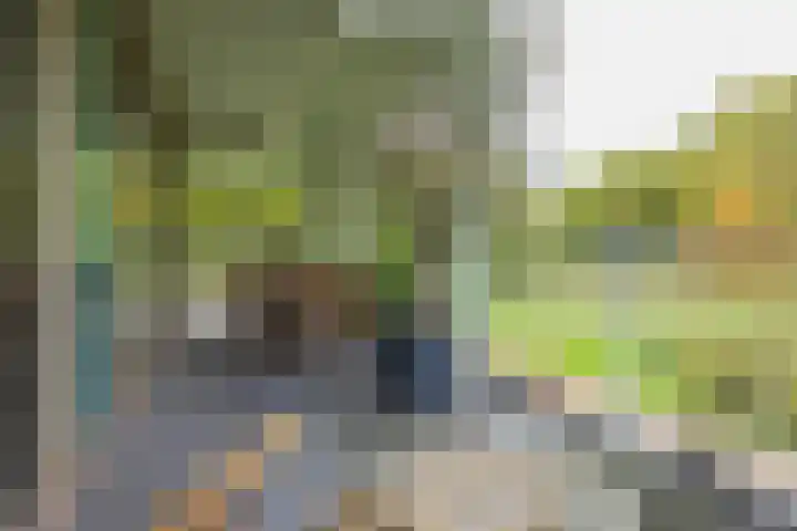 Nieuweroord 66 Leiden thumbnail 48