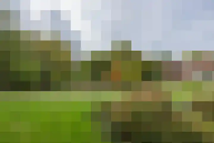 Nieuweroord 66 Leiden thumbnail 49