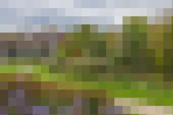 Nieuweroord 66 Leiden thumbnail 50