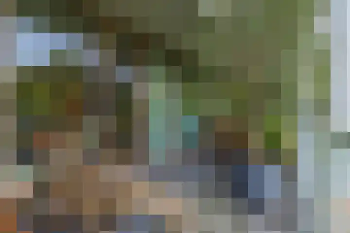 Nieuweroord 66 Leiden thumbnail 51