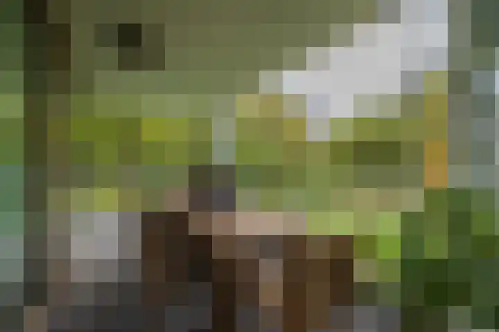 Nieuweroord 66 Leiden thumbnail 52