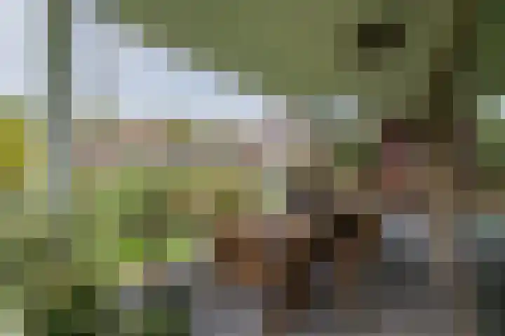 Nieuweroord 66 Leiden thumbnail 53