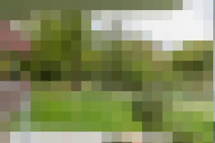 Nieuweroord 66 Leiden thumbnail 54