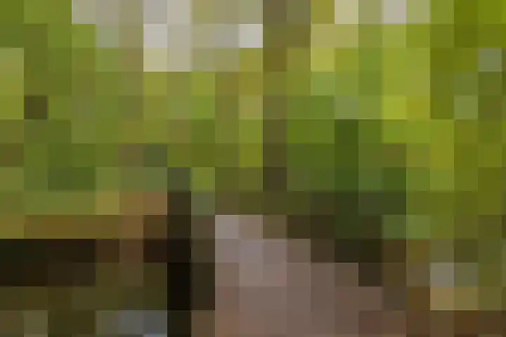 Nieuweroord 66 Leiden thumbnail 56