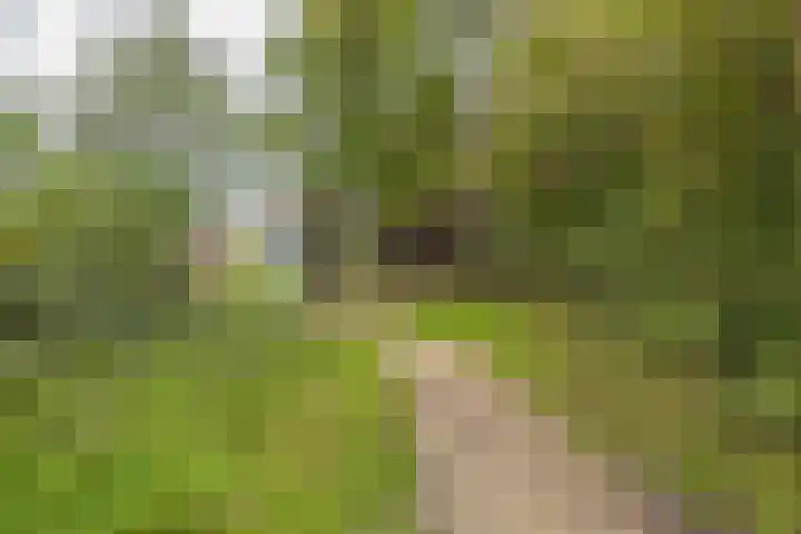 Nieuweroord 66 Leiden thumbnail 57