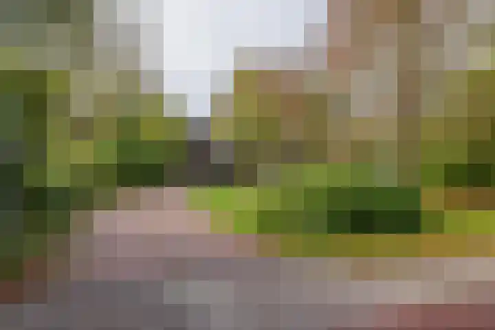 Nieuweroord 66 Leiden thumbnail 59