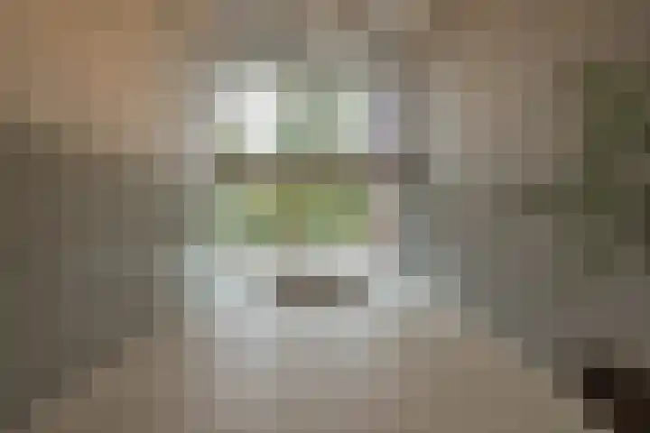 Nieuweroord 66 Leiden thumbnail 6