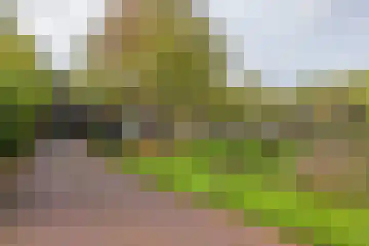 Nieuweroord 66 Leiden thumbnail 60