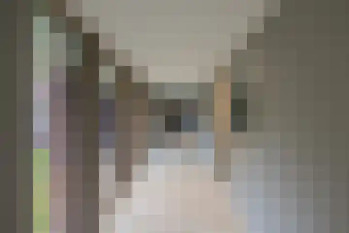 Nieuweroord 66 Leiden thumbnail 8