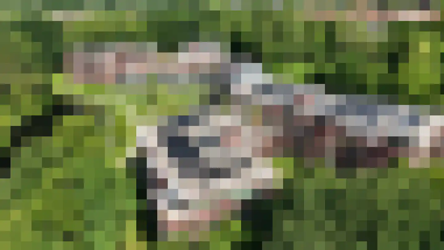 Nieuweroord 8 Leiden thumbnail 36