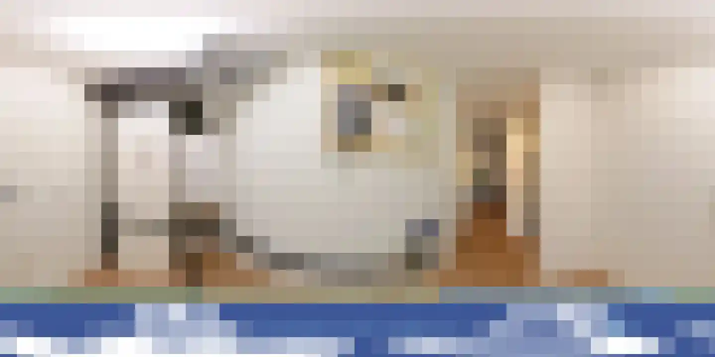 Nieuweroord 8 Leiden thumbnail 46