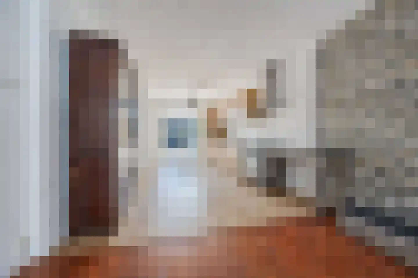 Nieuwersluisstraat 12 Den Haag thumbnail 13