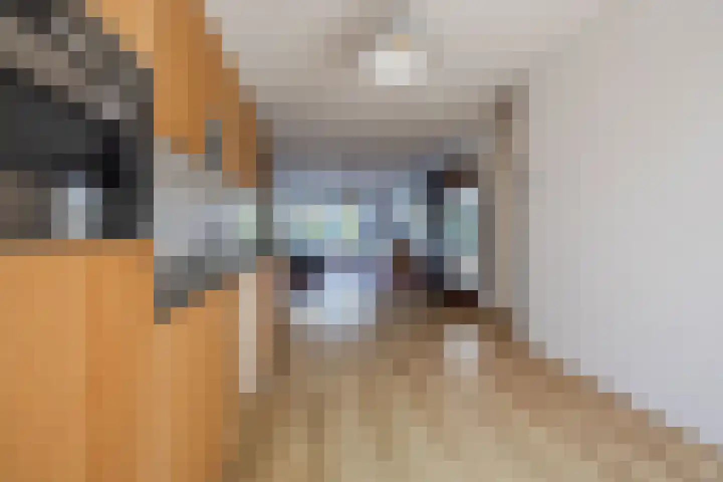 Nieuwersluisstraat 12 Den Haag thumbnail 16