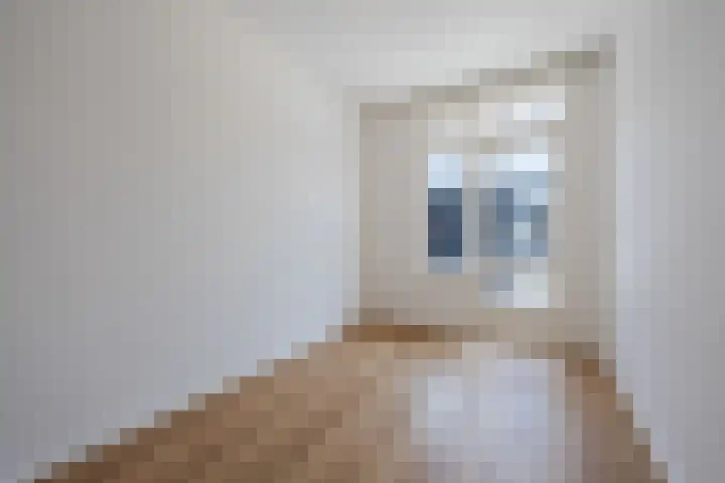 Nieuwersluisstraat 12 Den Haag thumbnail 23