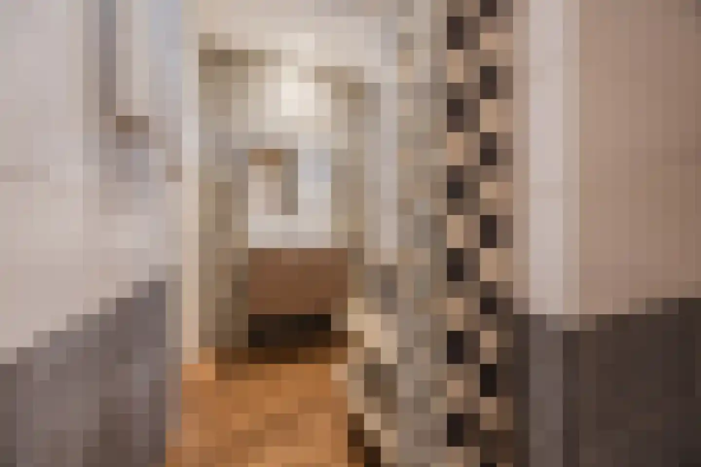 Nieuwersluisstraat 12 Den Haag thumbnail 28
