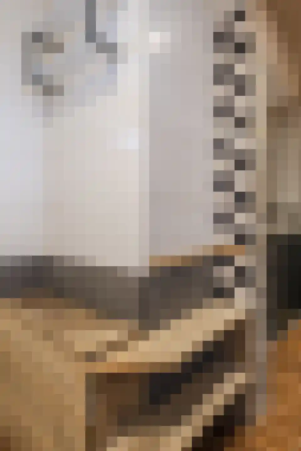 Nieuwersluisstraat 12 Den Haag thumbnail 33