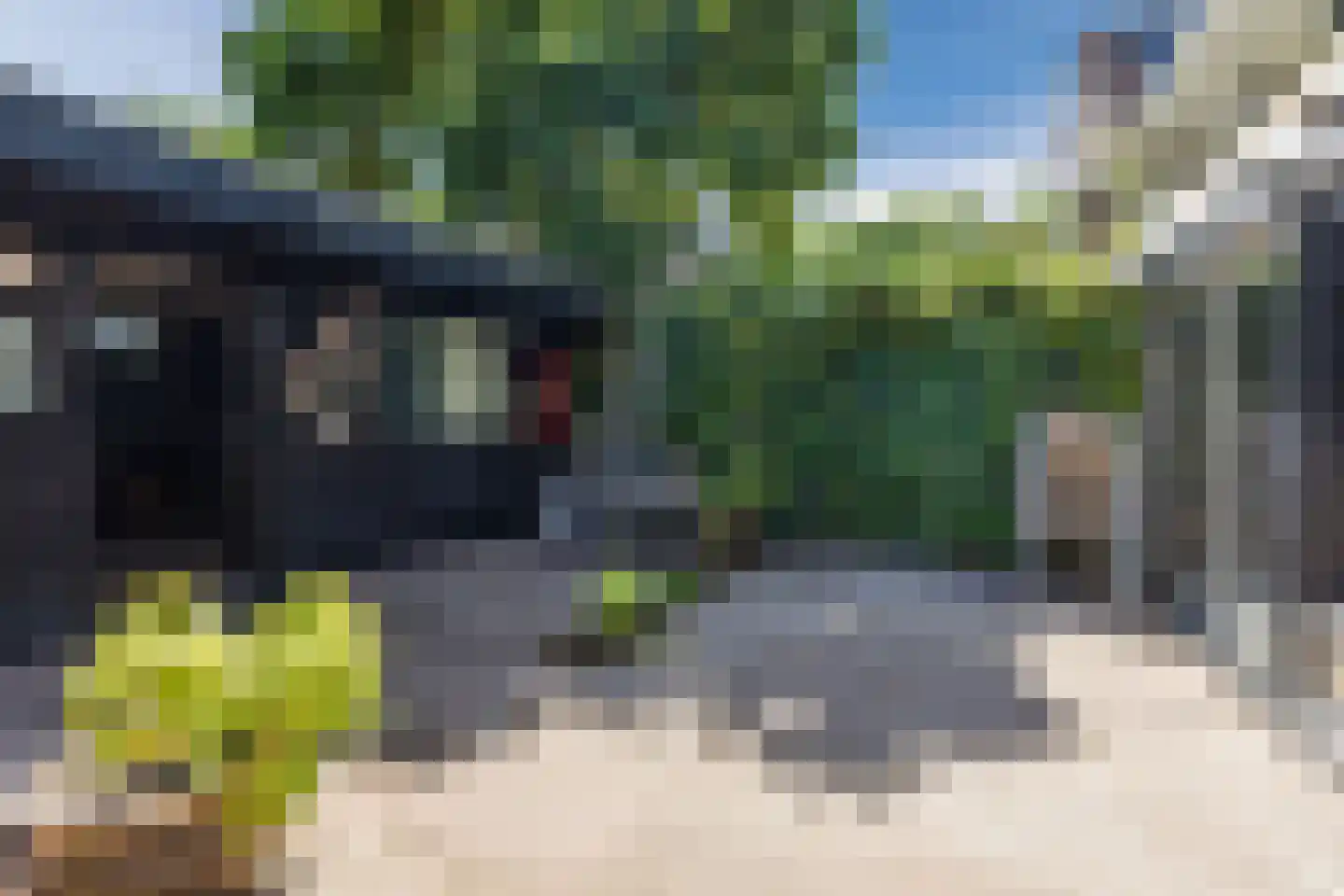Nieuwersluisstraat 12 Den Haag thumbnail 44