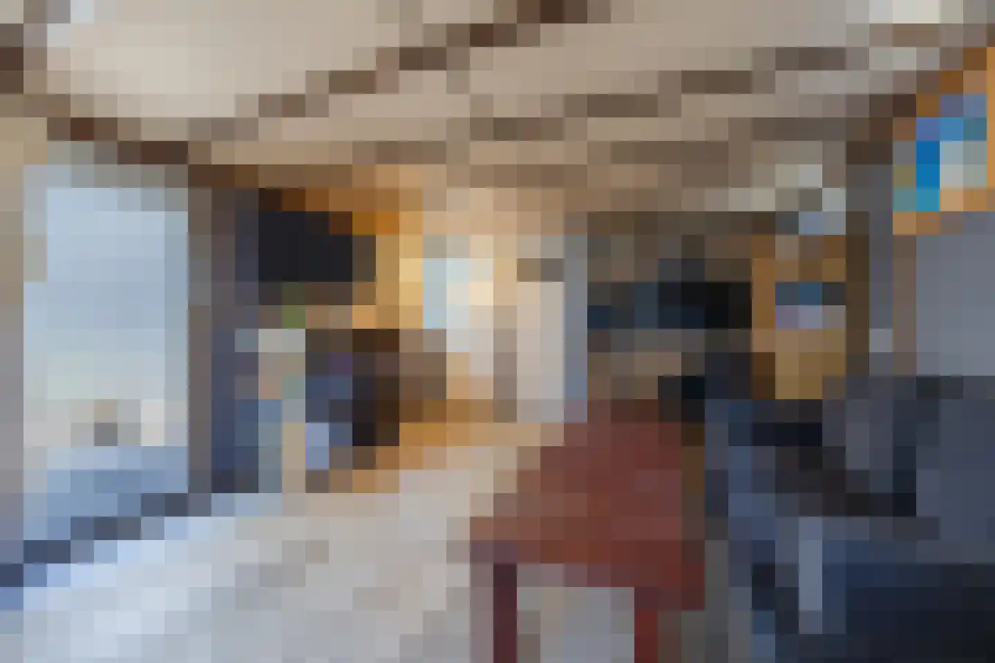 Nieuwersluisstraat 12 Den Haag thumbnail 49