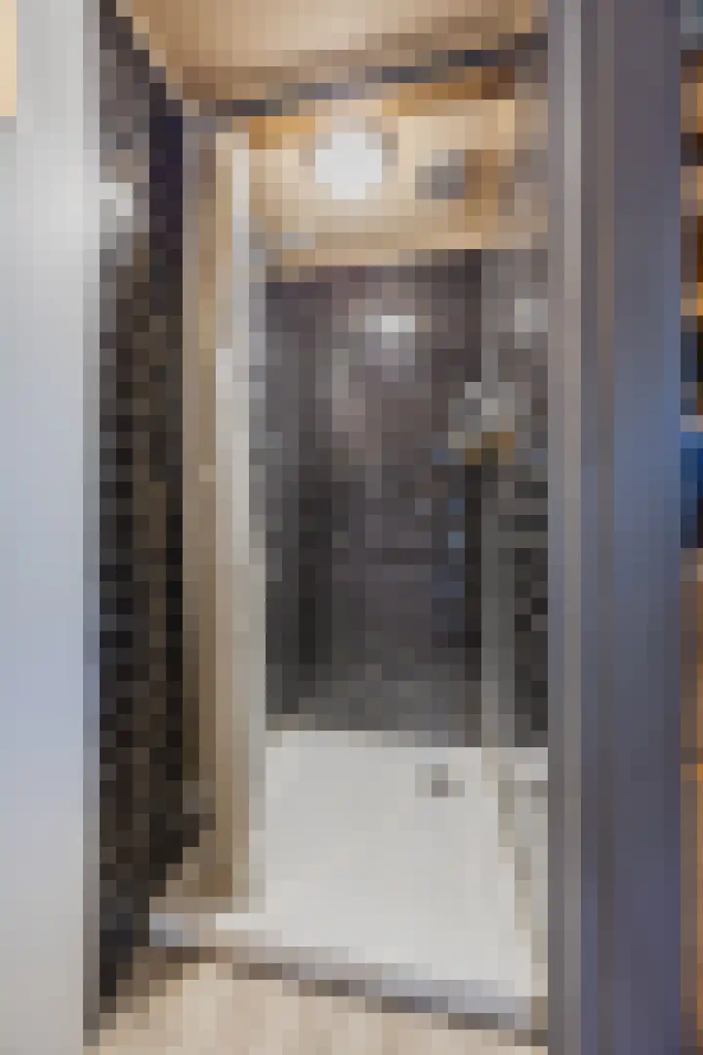 Nieuwersluisstraat 12 Den Haag thumbnail 53