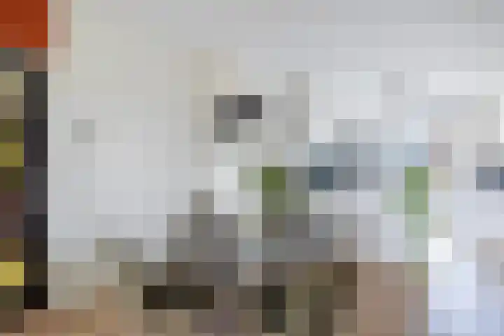 Nieuwersluisstraat 17 Den Haag thumbnail 10