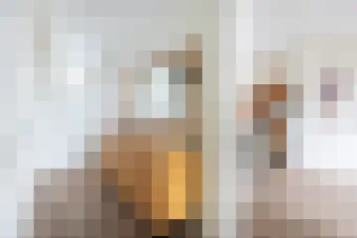 Nieuwersluisstraat 17 Den Haag thumbnail 4