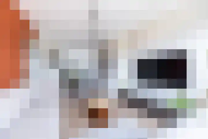 Nieuwersluisstraat 17 Den Haag thumbnail 5
