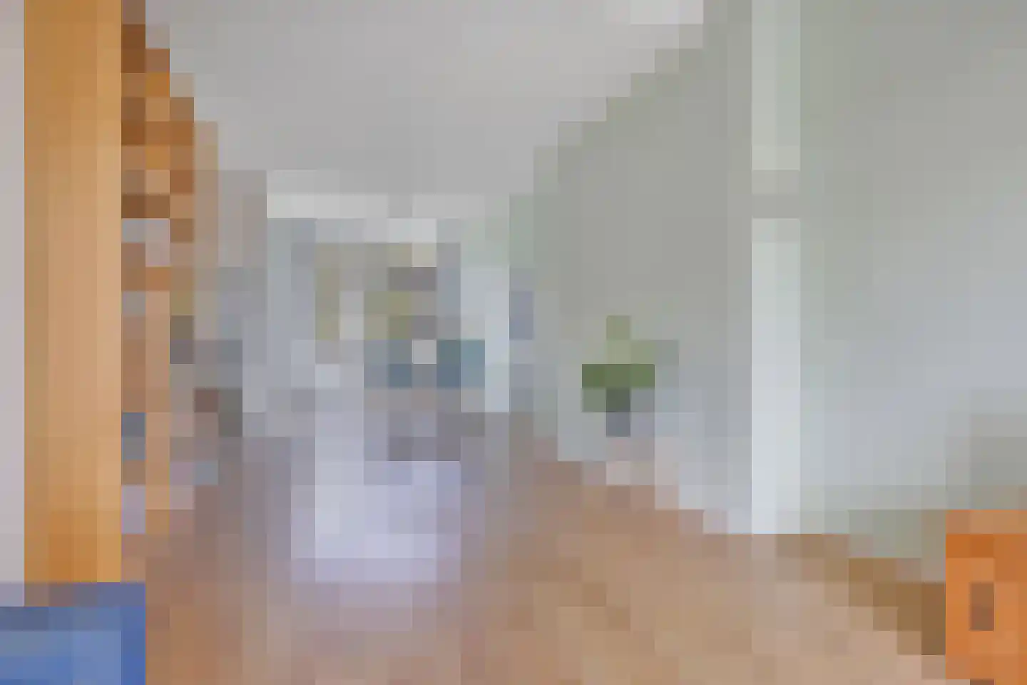 Nieuwersluisstraat 197 Den Haag thumbnail 10