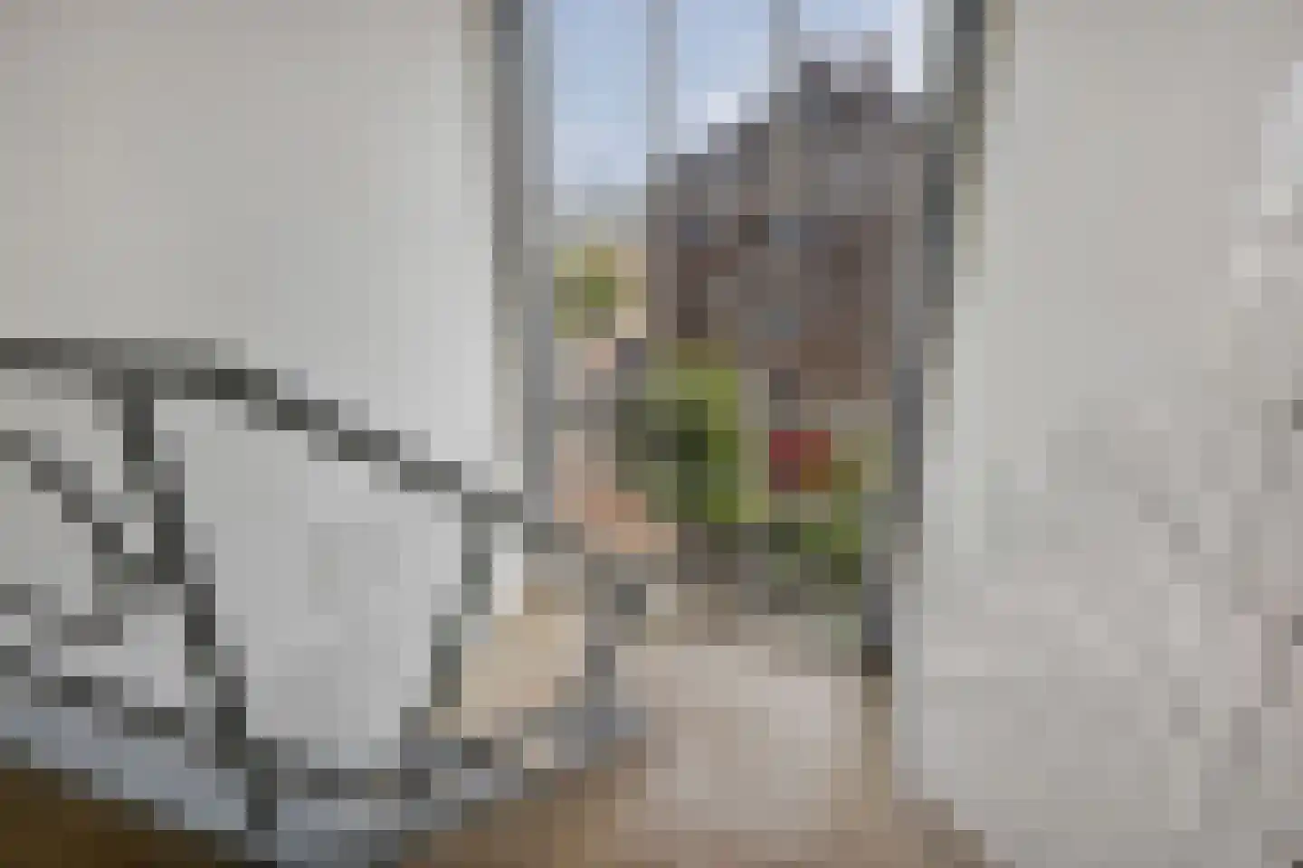 Nieuwersluisstraat 197 Den Haag thumbnail 4