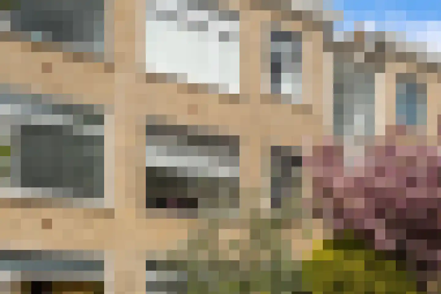 Nieuwersluisstraat 201 Den Haag thumbnail 22