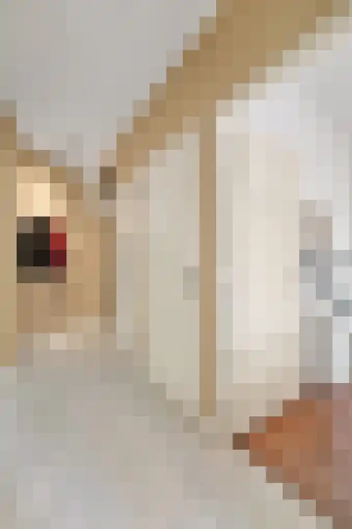 Nieuwersluisstraat 209 Den Haag thumbnail 7