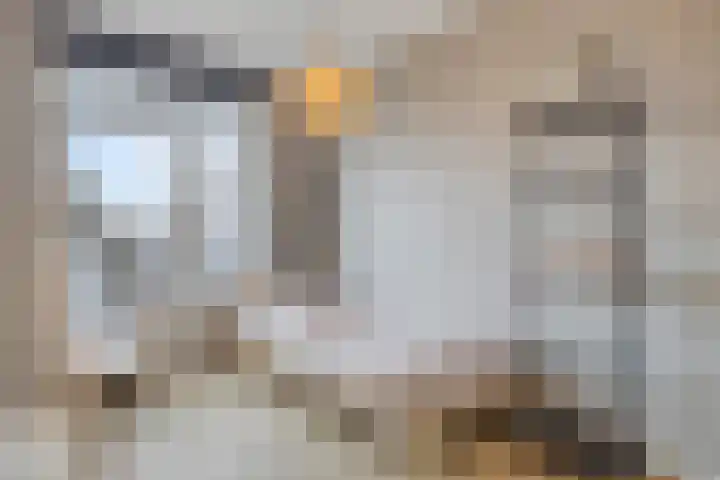 Nieuwersluisstraat 22 Den Haag thumbnail 11