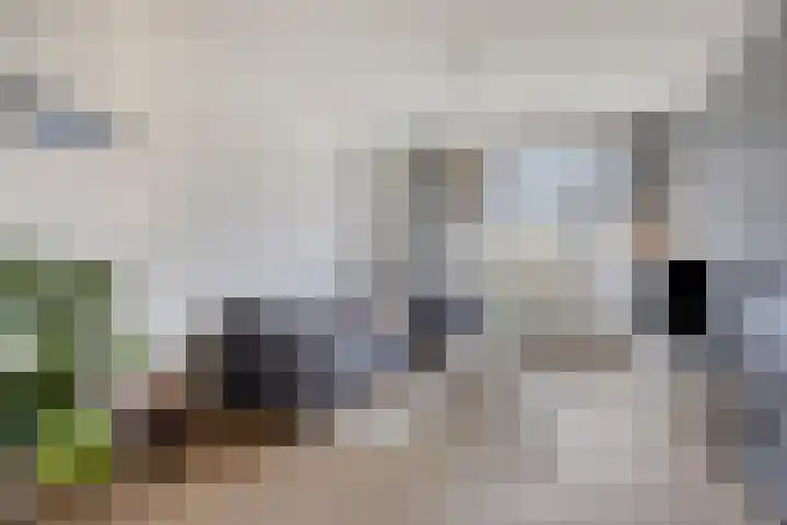 Nieuwersluisstraat 22 Den Haag thumbnail 23