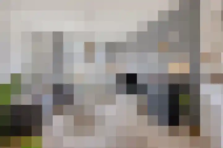 Nieuwersluisstraat 22 Den Haag thumbnail 4