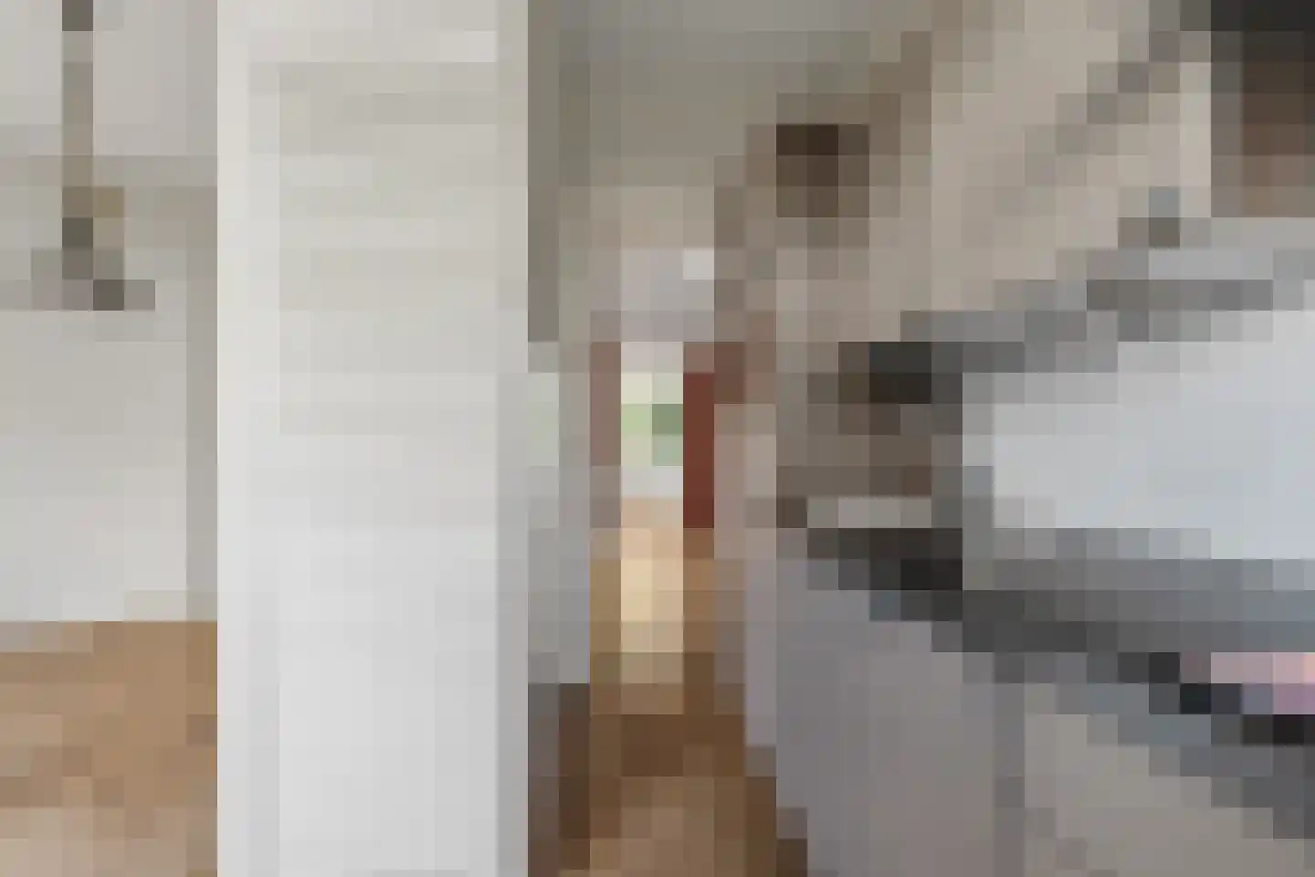Nieuwersluisstraat 241 Den Haag thumbnail 31