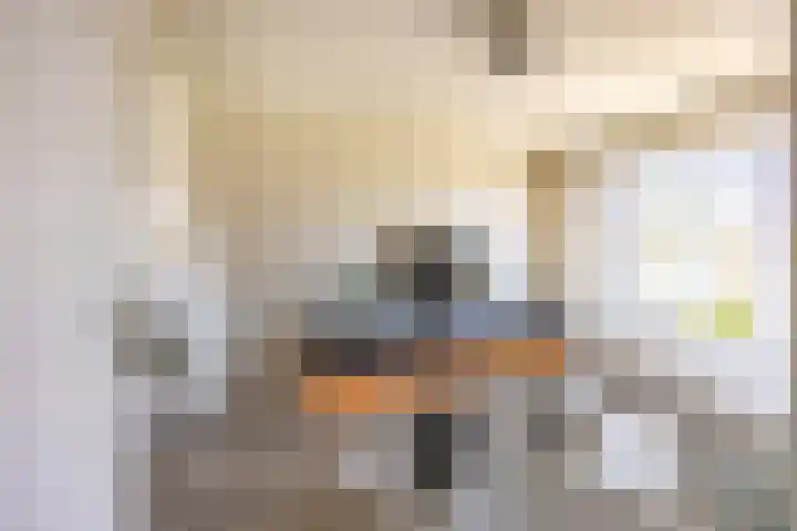 Nieuwersluisstraat 28 Den Haag thumbnail 4